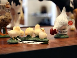 Schleich シュライヒ ひよこ